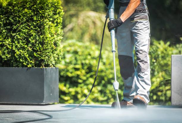 Best Roof Washing  in North Weeki Wachee, FL